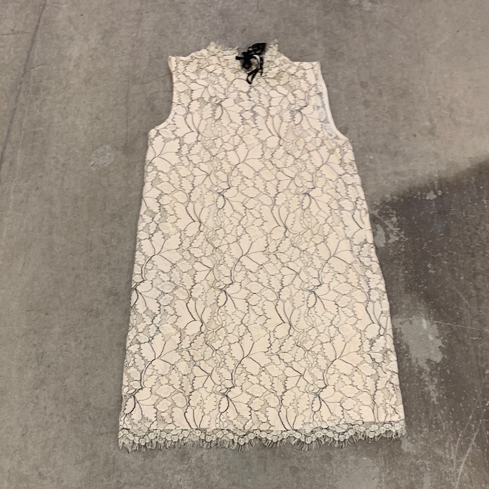 Mango suit Cream and Black Lace Dress